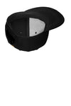 Carhartt Ashland Cap CT101604